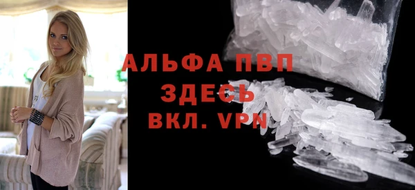 индика Арсеньев