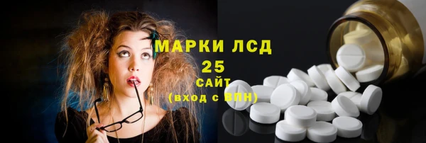 прущие грибы Аркадак