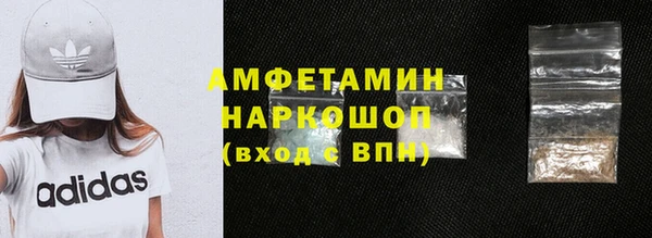 индика Арсеньев