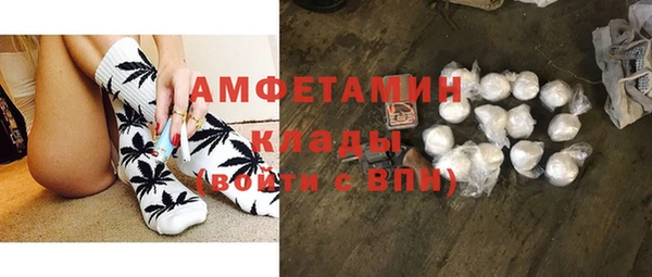 индика Арсеньев