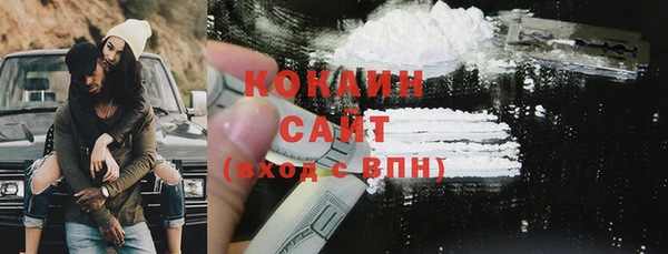 прущие грибы Аркадак