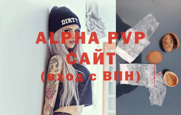 индика Арсеньев