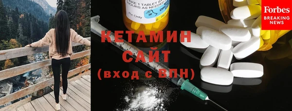 прущие грибы Аркадак