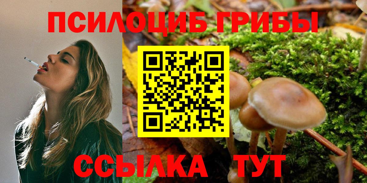 Псилоцибиновые грибы Magic Shrooms Пермь
